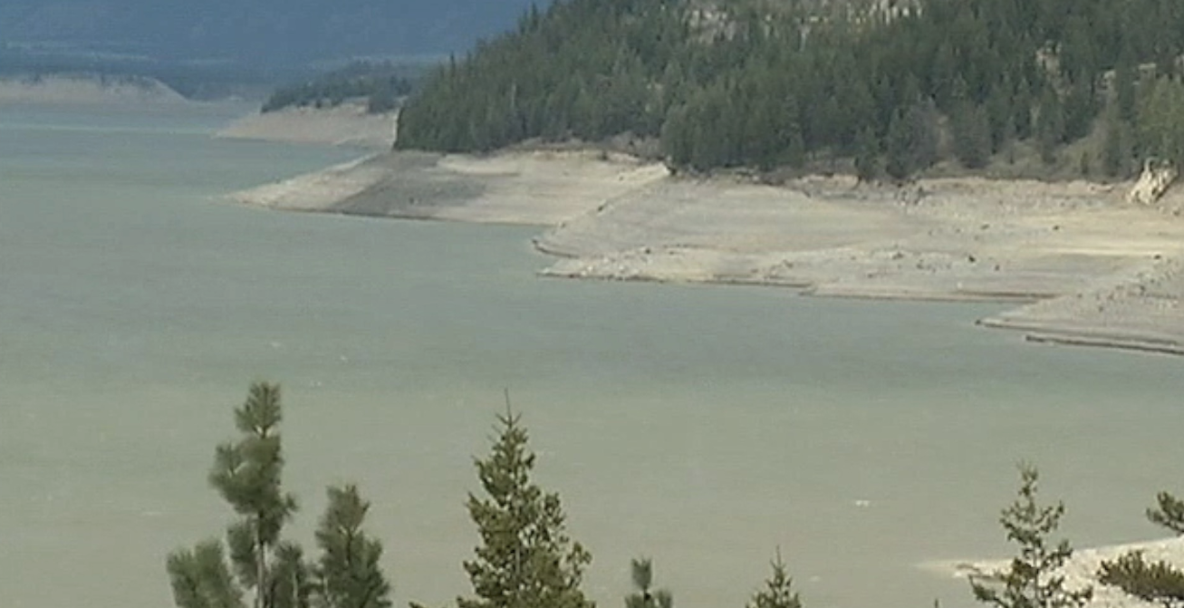 Conservation groups sue to keep Lake Koocanusa selenium limit - Vimarsana News